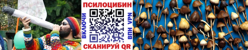 наркота Богородск Псилоцибиновые грибы мицелий