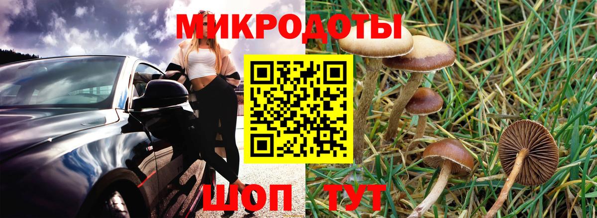 Богородск  Галлюциногенные грибы Magic Shrooms  Вход с VPN 